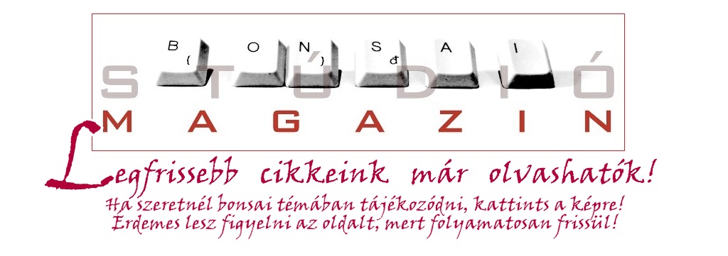 bonsai leirasok, bonsai cikkek, bonsai tudnivalok, bonsai gondozasa, bonsai alakitasa